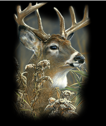 Hunting Swag